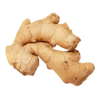 Jengibre