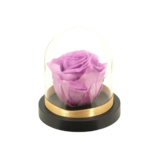 Mini Campânula Rosa Lilás