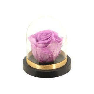 Mini Campânula Rosa Lilás