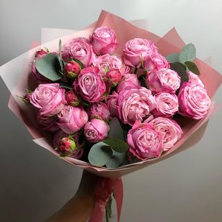 სინაზე + მისალოცი ბარათი