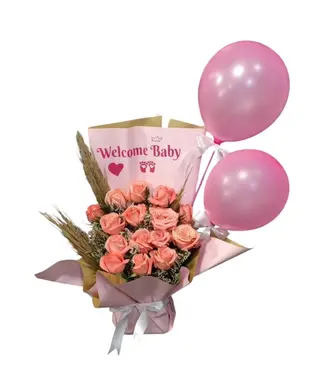 Welcome Baby Girl