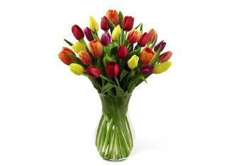 Микс лалета 25 бр