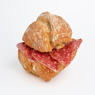 Pulguita De Longaniza De La Casa