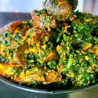 Vegetable Soup