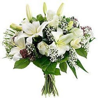 Silencio blanc pequeño 