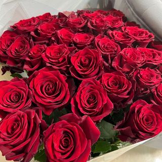 25 Roses Rouge Emballage Blanc