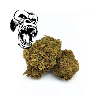 THC-P GORILA FLOR 1G