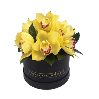 Caja de orquideas amarillas