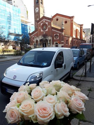 10 pezzi rose crema extra 