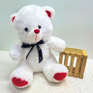 White Teddy Bear 50cm