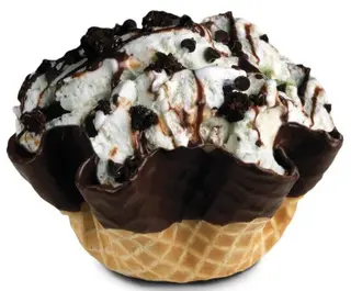 Mint Mint Chocolate Chocolate Chip