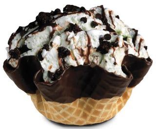 Mint Mint Chocolate Chocolate Chip