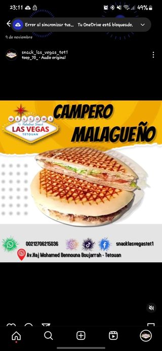 Panini campero