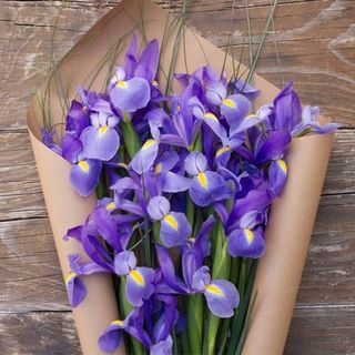 ირისი კრაფტში