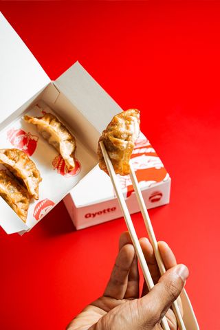 Veggy gyoza  - 4 pezzi