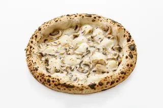 Funghi