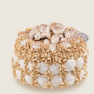 ტორტი სენატორი (15 ნაჭ)