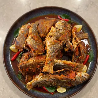 Croaker Fish