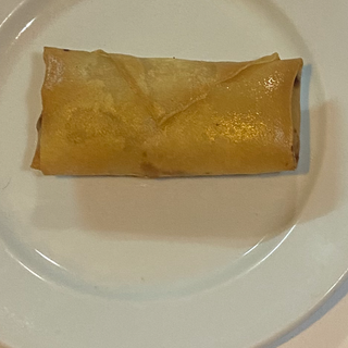 Rollo de primavera de verduras 