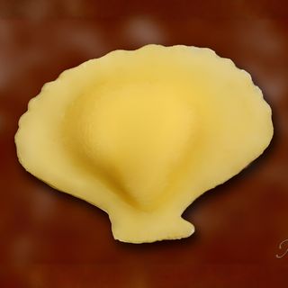 Conchiglie di cernia 500 g