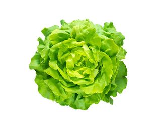 Salade Laitue Verte - Unité 