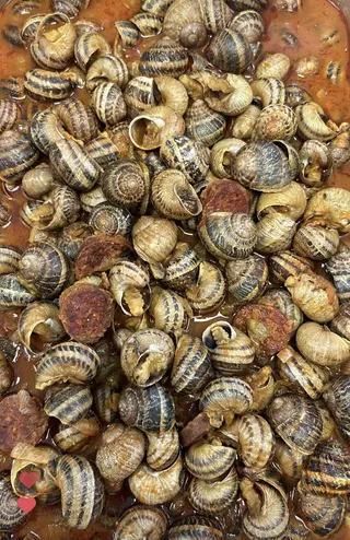 Caracoles