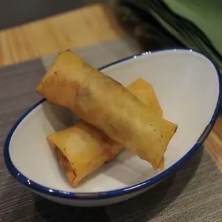 Rollo de primavera