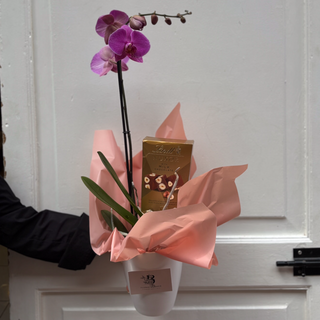 Orquid Je t’aime 