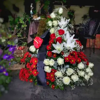 SP008