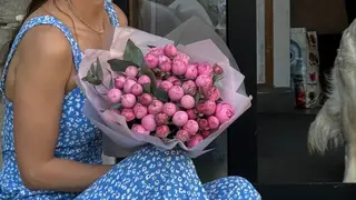 ვარდი “Silva pink”