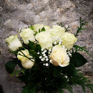 12 Rosas Blancas Decoradas Para Regalo (Aprox. 50 Cm.)