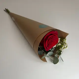 Rosa Roja Arreglada