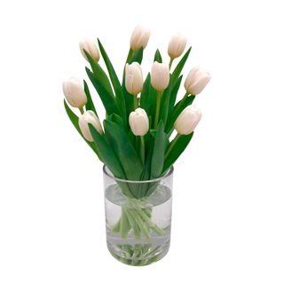 Ramo de 10 tulipanes blancos