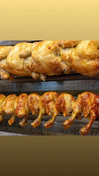 Coscia americana campese