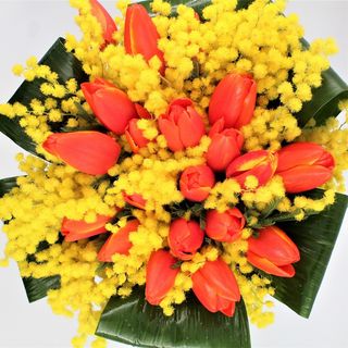 Mimosa e tulipani