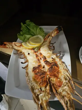 Camarão Tigre (kg)
