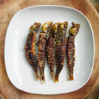 Sardine
