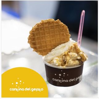 Vaschetta piccola 500 g