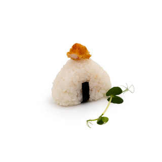 Onigiri ebiten