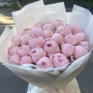 Букет Кохання -17 піоній 