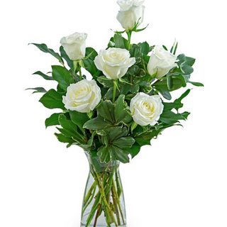 Ramo de 6 rosas blancas