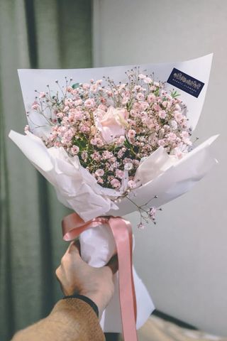 გიფსოფილა ვარდი