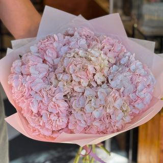 Total Pink - 5 Hortensias XL Para Dejar Sin Palabras