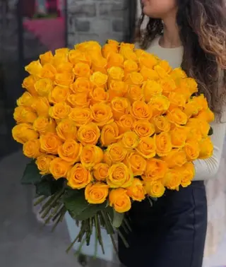 Trandafiri galbeni - Golden Promise