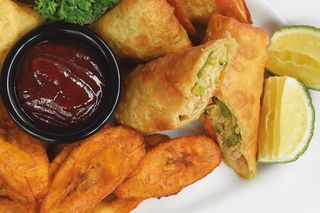 Chicken Spring Rolls