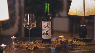 Rkatsiteli - Avanduri