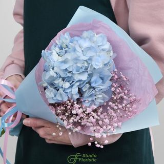 Niebieska hortensja z dodatkiem