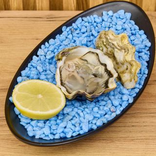 Portuguesa(Portugal)