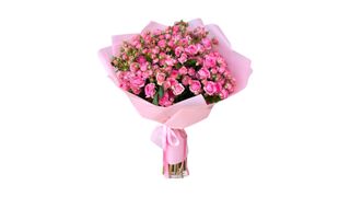 30 Pink Spray Roses