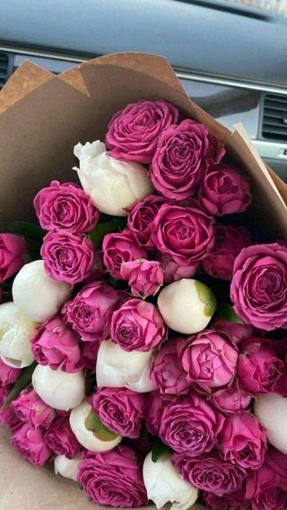 პიონი ვარდი